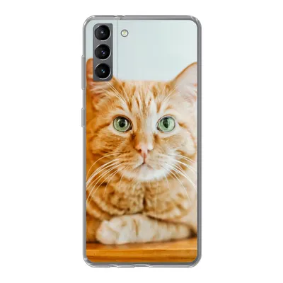 Produktbild von MuchoWow® Handyhülle Schutzhülle Hülle für Samsung Galaxy S21 Plus Katze - Holz - Schrank Silikon Softcase Handy Hülle - Handy-Tasche