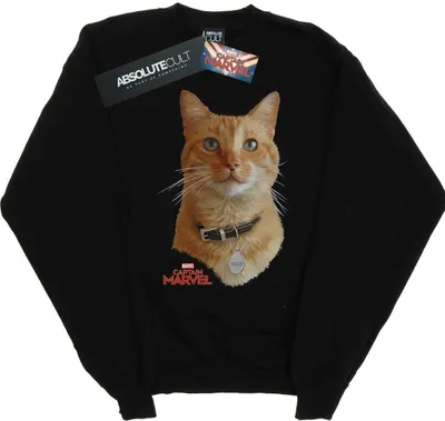 Produktbild von Marvel - Sweatshirt für Herren BI18890 (4XL) (Schwarz)