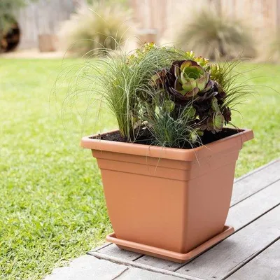 Image de Pots de fleurs carrés hauts 32 x 30 cm avec bac de récupération d'eau - terre cuite - pour l'intérieur et l'extérieur