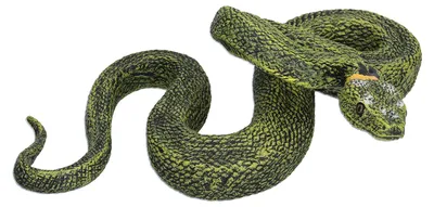 Immagine prodotto di Modelli realistici di serpenti per simulazioni, decorazioni didattiche