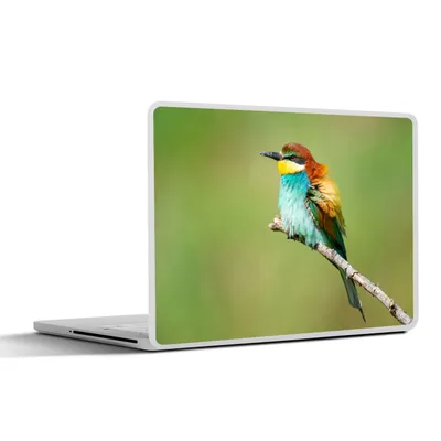 Produktbild von MuchoWow® Laptop Aufkleber Sticker Cover Vogel - Tiere - Bienenfresser 36.5x27.5 cm - Laptop-Sticker