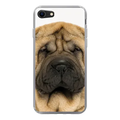 Produktbild von MuchoWow® Handyhülle Schutzhülle Hülle für iPhone SE 2020 Hund - Jungen - Sharpei - Haustiere - Mädchen - Kinder Silikon Softcase Handy Hülle - Kartenbesitzer
