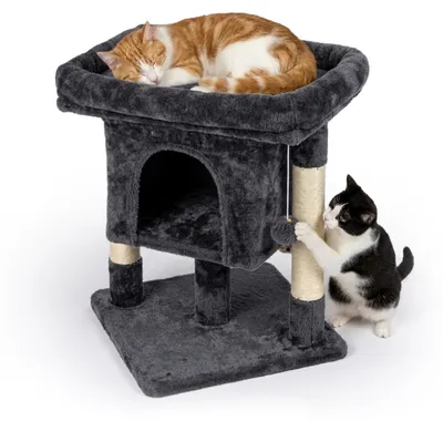 Image de Arbre à gratter Relaxdays, avec cachette, 2 poteaux en sisal et surface de repos, cachette pour chat rembourrée, dimensions (H x L x P) : 60 x 52,5 x 41 cm, sisal, gris foncé