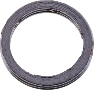 Obrázok produktu pre Tesnenie výfukového potrubia pre Kymco Heroism 125, rok výroby 1995–2000, od pamoto –