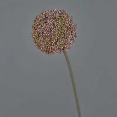 Produktbild von artplants.de Künstliche Blume Allium BOUTROS, violett, 75cm - Kunstblume Zierlauch