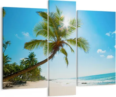 Produktbild von Bild auf Leinwand - Leinwandbild - Strand Palme Meer - 95x80cm - Wand Bild - Wanddeko - Wandbilder - Leinwanddruck - Bilder - Kunstdruck - Wanddekoration - Leinwand bilder - Wandkunst - CB95x80-3570