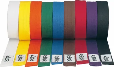 Produktbild von Kwon Gürtel alle Farben, Farbe:gelb, Größe:280cm