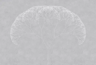 Produktbild von Tadessi Fototapete | Blumen | 4.00 m x 2.70 m | Grau | Weiß | Wandbild | Digitaldruck