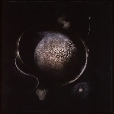 Produktbild von Enthroned: Cold Black Suns