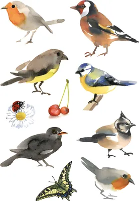 Produktbild von HERMA Sticker DECOR "Aquarell Vögel" 3 Blatt à 10 Sticker