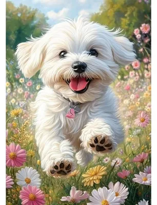 Productafbeelding van Diamond Painting Set: Witte hond, bloemenvelden, 30x40 cm