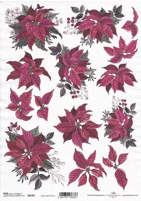 Produktbild von ITD Reispapier Decoupage Bastelpapier Softpapier Serviettentechnik, Weihnachtsstern R2133