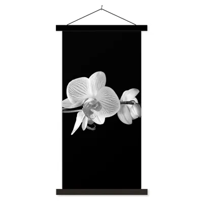 Produktbild von MuchoWow® Textilposter Orchidee - Blumen - Schwarz - Rosa - Knöpfe 40x80 cm mit schwarzem Rahmen - Wandemalerei