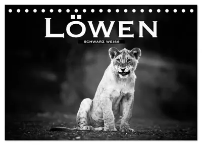 Produktbild von Löwen schwarz weiß (Tischkalender 2027 DIN A5 quer), CALVENDO Monatskalender