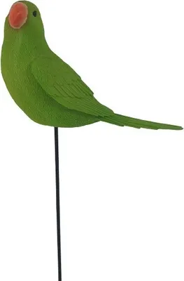 Produktbild von Gartenstecker Papagei 27 x 13 cm grün