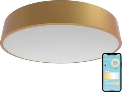 Produktbild von Gologi Smart Deckenleuchte Gold - LED-Deckenleuchte - RGB - Industrial Design - Für Schlafzimmer & Wohnzimmer - 30 cm - Gold