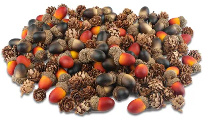 Productafbeelding van Solidchoice - 240 Stuks Kerst Decoratie met Dennenappels en Eikels