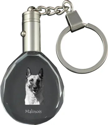 Produktbild von Malinois Belgischer Schäferhund - Anhänger mit einem Foto eines Hundes, Schlüsselanhänger aus Kristall in einer Geschenkbox, ein einzigartiges Geschenk von Art-Dog