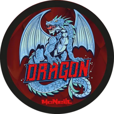 Image de McNeill accessoires pour cartables McAddy Dragon multicolore