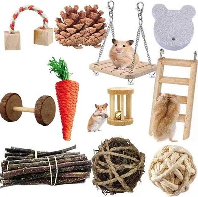 Produktbild von Klein-tier Spielzeug aus Apfelholz für Zwerghamster und Nagetiere
