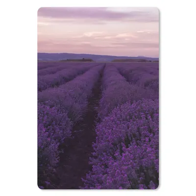Produktbild von MuchoWow® Mauspad Mousepad Lavendel - Lila - Blumen - Natur 18x27 cm - Mousepads - Maus Mat - Pad - Mausunterlage
