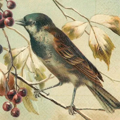 Obrázok produktu pre Papírový ubrousek Winter Forest Bird