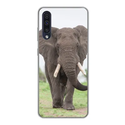 Produktbild von MuchoWow® Handyhülle Schutzhülle Hülle für Samsung Galaxy A30s Elefant - Tiere - Gras - Natur Silikon Softcase Handy Hülle - Karteninhaber