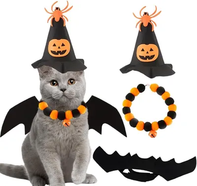 Produktbild von Katzen Halloween Kostüm Set, 3-teilig, mit Hut, Fledermausflügeln und Halsband für Haustiere