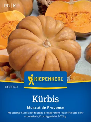 Produktbild von Kiepenkerl Kürbissamen Muscat de Provence Cucurbita moschata 10 Pflanzen