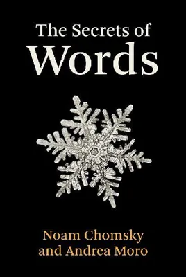 Produktbild von The Secrets of Words