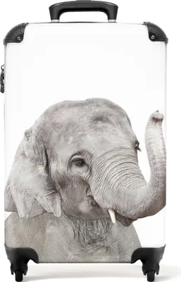 Produktbild von NoBoringSuitcases.com® Koffer Handgepäck Trolley Rollkoffer Kleine Reisekoffer mit 4 Rollen - Elefant - Tiere - Grau - Natur - Cabin Size < 55x40x23 cm & 55x40x20 cm - Fotokoffer - Kabinenkoffer - BoardgepäckHandgepäck Koffer 55x35x20 cm, 36L,
