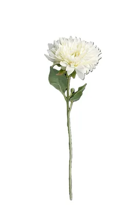 Produktbild von 2474U Kunststielblume Aster, Künstliche Blume Weiß, 40 cm