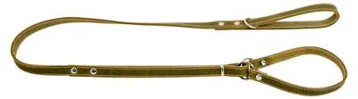 Vetleder Sliplijn Martingale Hundeleine Grün 16x148 cm