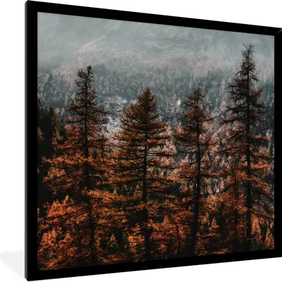 Produktbild von MuchoWow® Gerahmtes Poster Bäume - Nebel - Winter 40x40 cm - Poster mit Schwarzem Bilderrahmen Wandposter Rahmen Foto Bilder - Mit Rahmen - Wanddekoration Schlafzimmer