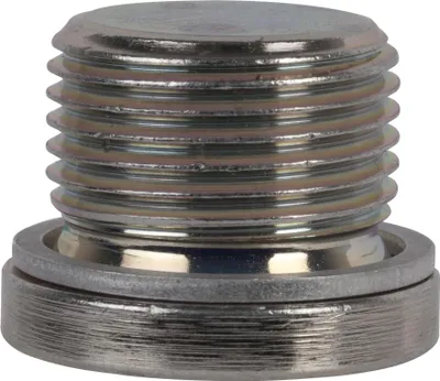 Produktbild von SW-Stahl 03025L Ölablaßschraube M 20 x 1,5 mit Aluminiumdichtung