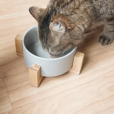 Produktbild von Navaris 2x Futternapf Katze mit Bambus Halter - Futterstation 2x Keramiknapf für Katzen Hunde - Keramik Fressnapf Set Futterbar mit Holz Halterung