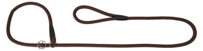 Produktbild von Ringleine für Hunde braun Hundeleine Leine Showleine Gassileine Ø 1,2 x 170 cm