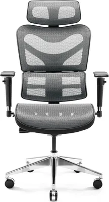 A front view of a black and gray ergonomic office chair with a mesh back and adjustable headrest, shown on a white background.