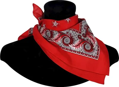 Produktbild von Bandana rot