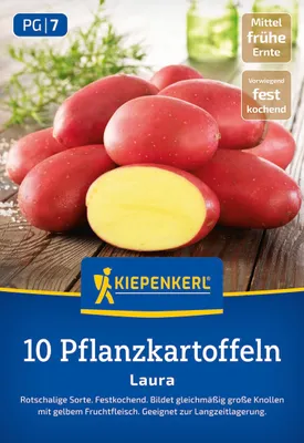 Produktbild von Kiepenkerl Pflanzkartoffel Laura Solanum tuberosum 10 Stück