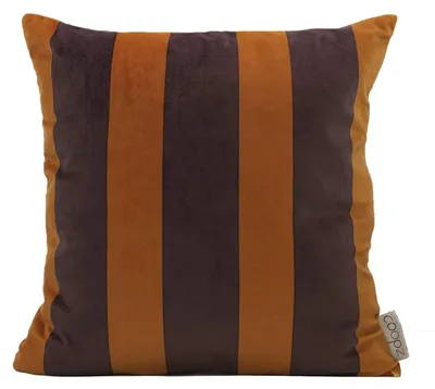 Image de Coussin - Taille 60