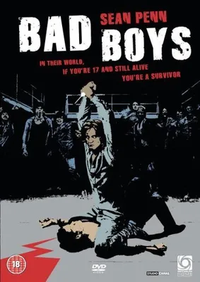 Produktbild von Bad Boys [DVD] (12)
