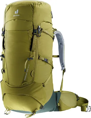 Produktbild von DEUTER Aircontact Core 50+10 cactus-ivy cactus-ivy -
