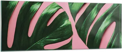 Produktbild von Bilder auf glas - Einteilig - Monstera Blatt Rosa - 140x50cm - Glasbilder - Wandbilder - Bilder - zum Aufhängen bereit - Wanddekoration aus Glas - Glas Bilder - Wandbild auf Glas - GAB140x50-4407