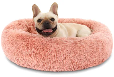 Image de Lit douillet en forme de beignet pour chiens et chats, lavable et antidérapant