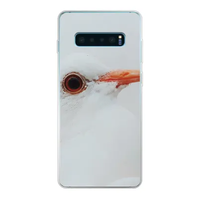 Produktbild von MuchoWow® Handyhülle Schutzhülle Hülle für Samsung Galaxy S10 Plus Nahaufnahme einer weißen Taube Silikon Softcase Handy Hülle - Schutzhülle