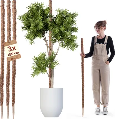 Produktbild von KADAX Kokosstab 150cm für Zimmerpflanzen, 3 Stück, Pflanzstab aus Kokosfaser zur sicheren Pflanzenstütze, Moosstab für Kletterpflanzen, Monstera Rankhilfe, Pflanzenstab