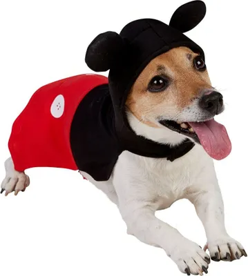 Produktbild von Micky Maus Hundekostüm Hundegröße: XS