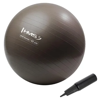 Obrázek produktu pro Gymnastický míč HMS YB02N 65 cm bronzový