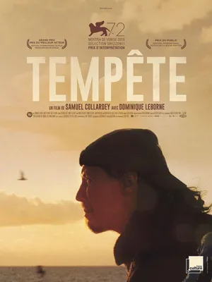 Obrázek produktu pro Bouře – 2016 – Samuel Collardey s Dominique Leborne – 116 × 158 cm – Originální filmový plakát